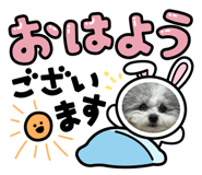 841717870