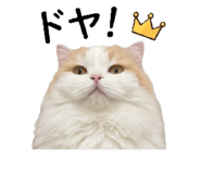 841718738