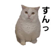 841718743
