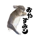 841718919
