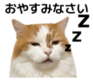 841718991