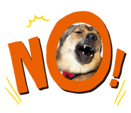 841719346