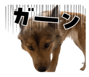 841719354