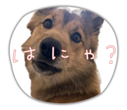 841719366