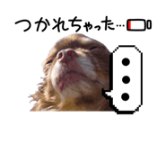 841719380
