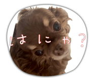 841719385