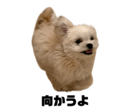 841719415