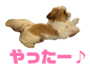841719676