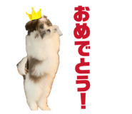 841719683