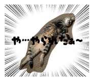841720094