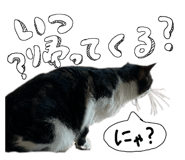 841720189