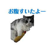 841720316