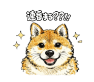 841720341
