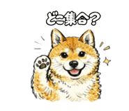 841720347