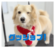 841720364