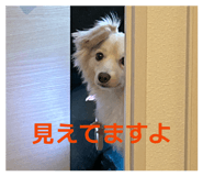 841720366