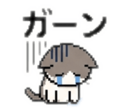 841720770