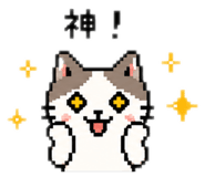 841720780