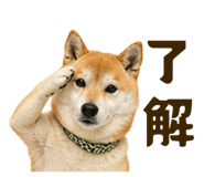 841720971