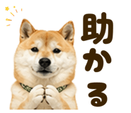841720979