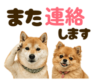 841720986