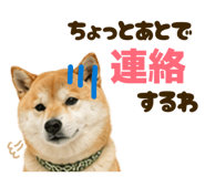 841720987