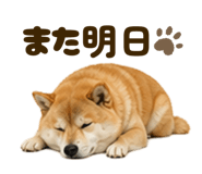 841720988