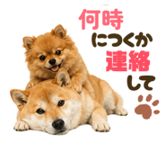 841720989