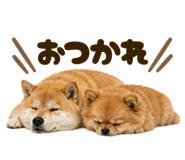 841720993