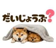 841720998