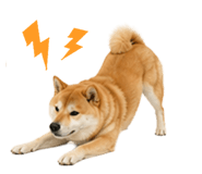 841721005