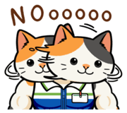 841721677