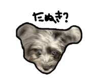 841721719
