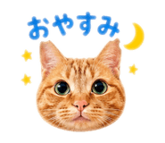 841722403