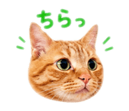 841722408