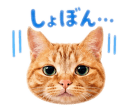 841722412