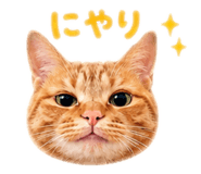 841722414