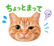 841722421