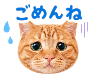 841722422