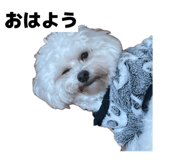 841722577