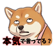 841722901