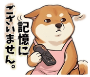 841722902