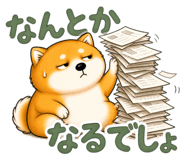 841723155
