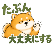 841723182