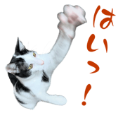 841723668