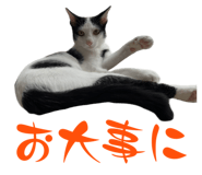 841723682