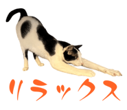 841723692