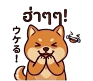 841725408