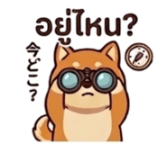 841725416