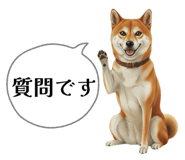 841725588